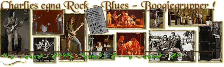 Boogierock, Southern Rock, Sydstatsrock, Bluesrock r svngigast !
