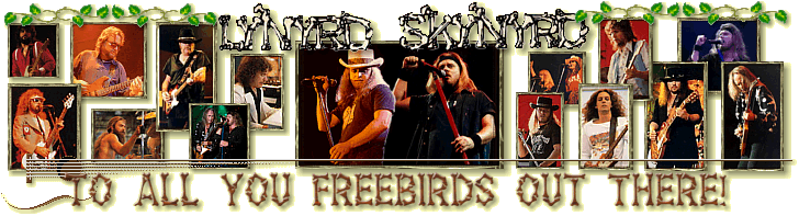 Lynyrd Skynyrd, Freebird, Sweet Home Alabama, Ronnie Van Zant, Gary Rossington, Allen Collins, Ed King, Steve Gaines, Artimus Pyle, Billy Powell, Rickey Medlocke,